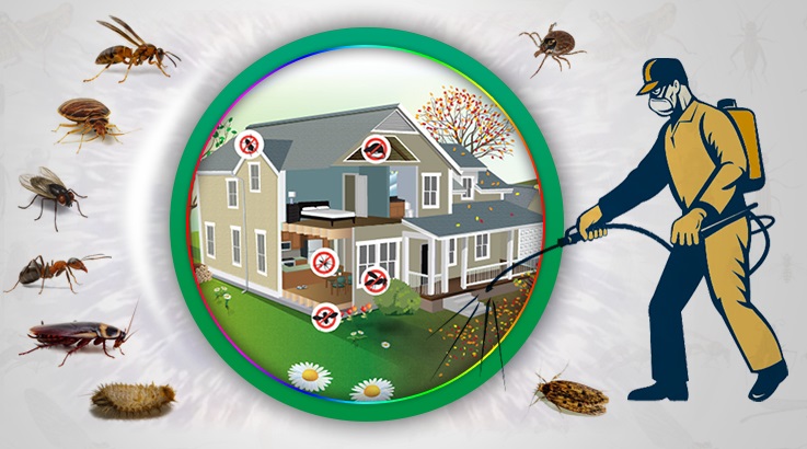 Dikmen Böcek İlaçlama